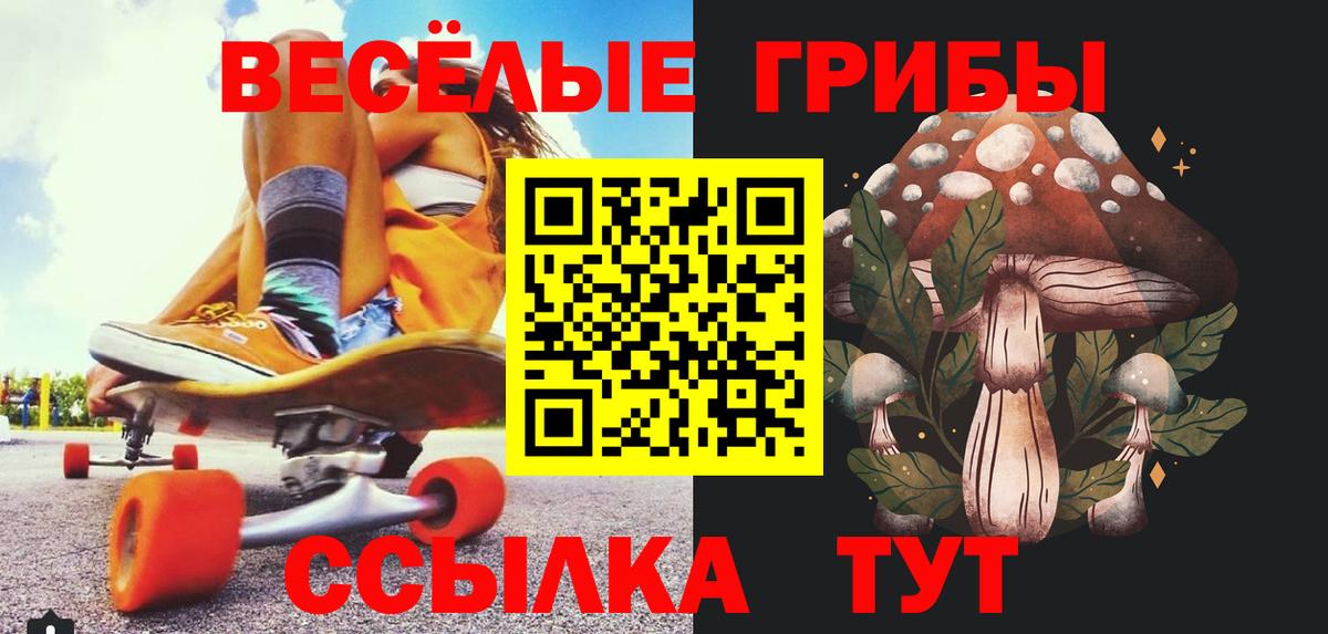 Галлюциногенные грибы Psilocybe Чехов